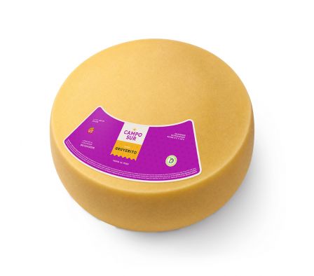 Queso Gruyerito Campo Sur Horma